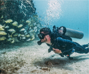 plots for investment