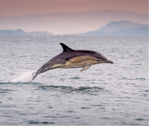 plots for investment